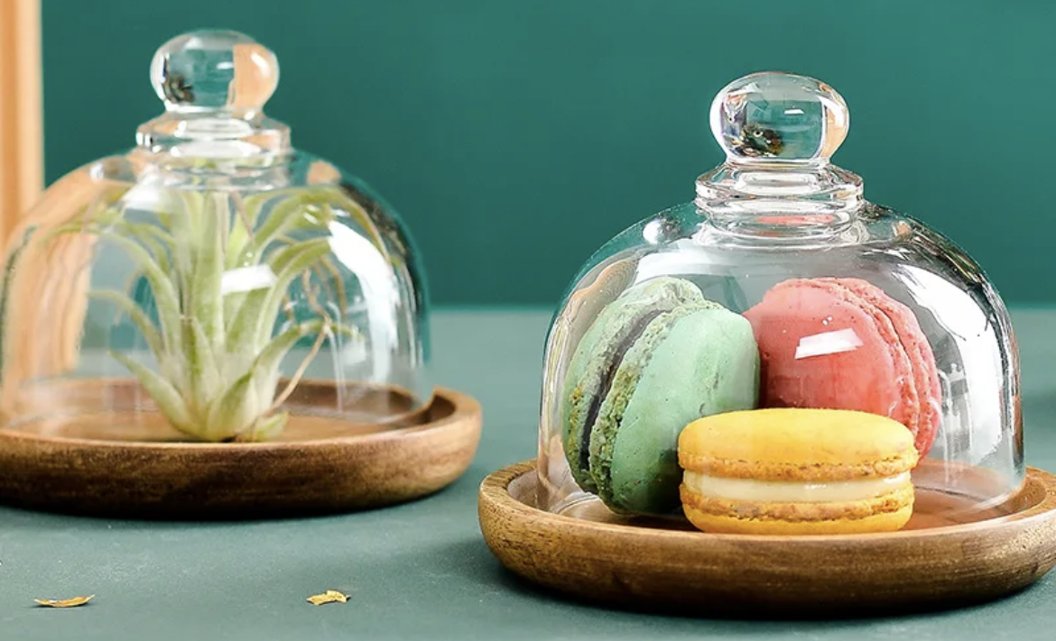 Cupcake Stand with Cover