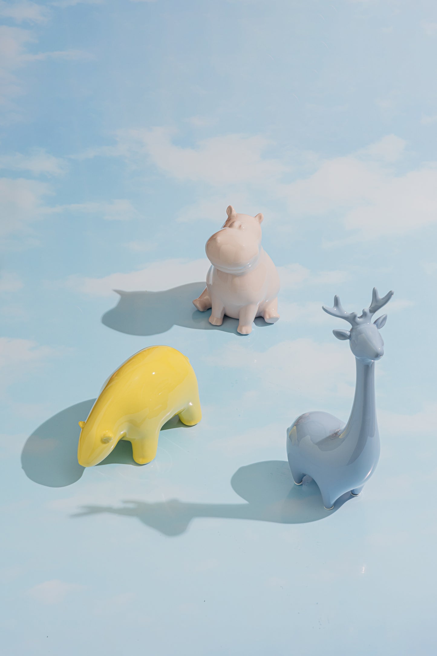 Baby Animals